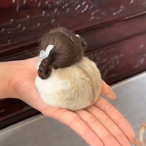 hyebeee 프로필