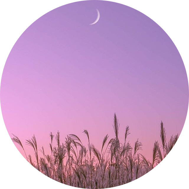 리뷰어 프로필
