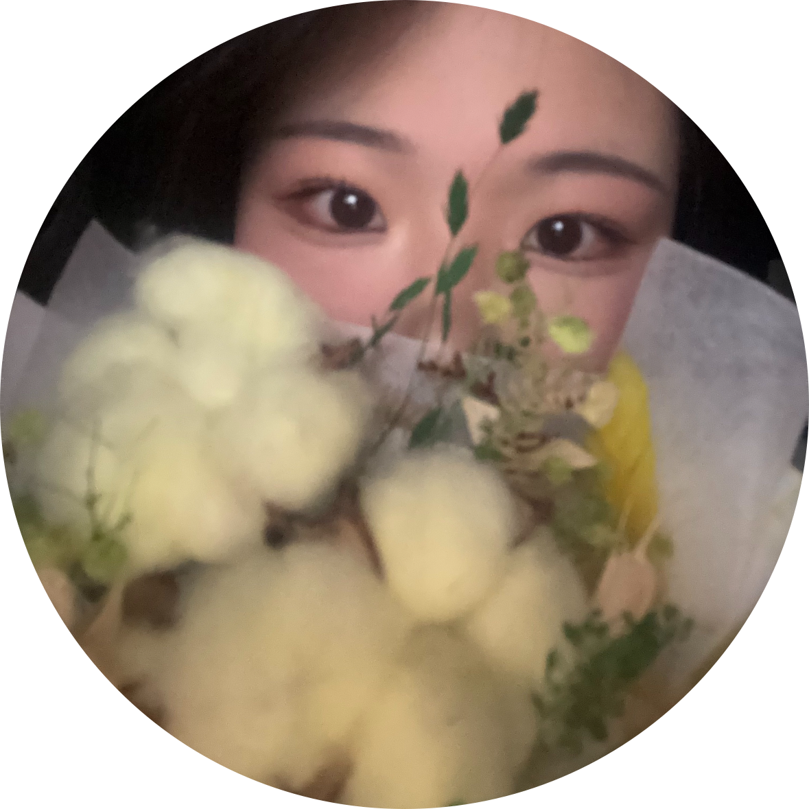 thdd1 프로필
