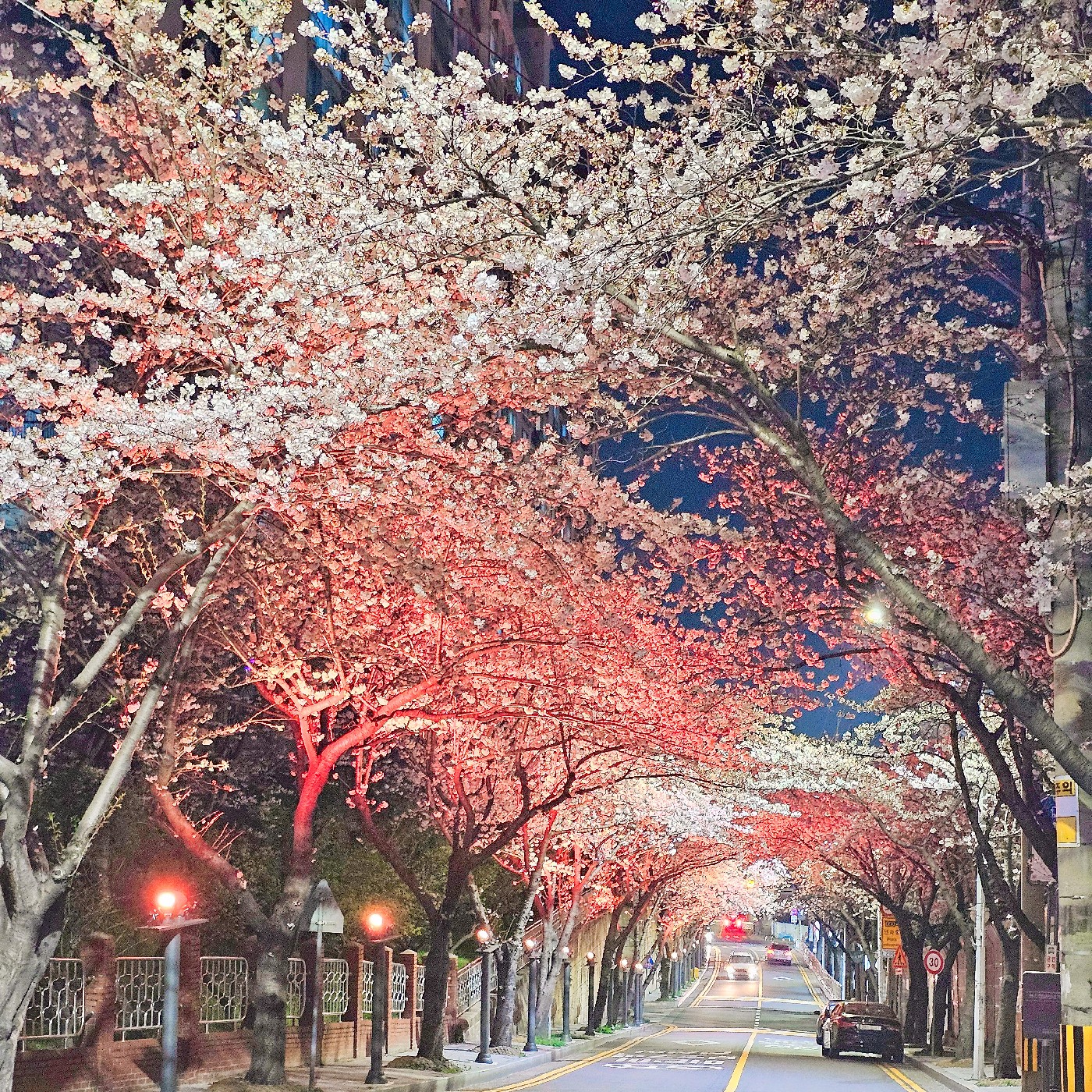 woni.happy 프로필