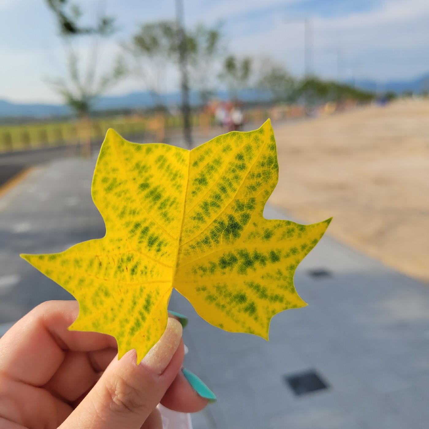 뷰티아리 프로필