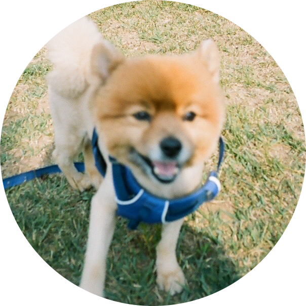 Nuey 프로필