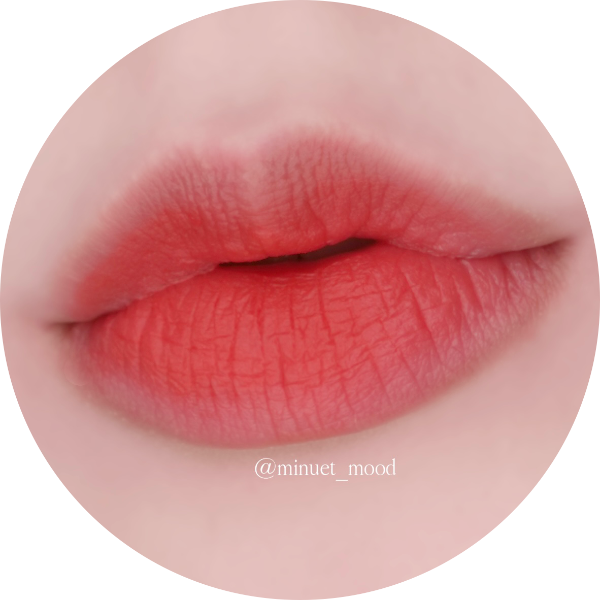 minuet 프로필