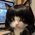 햄송이