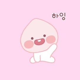 khey 프로필