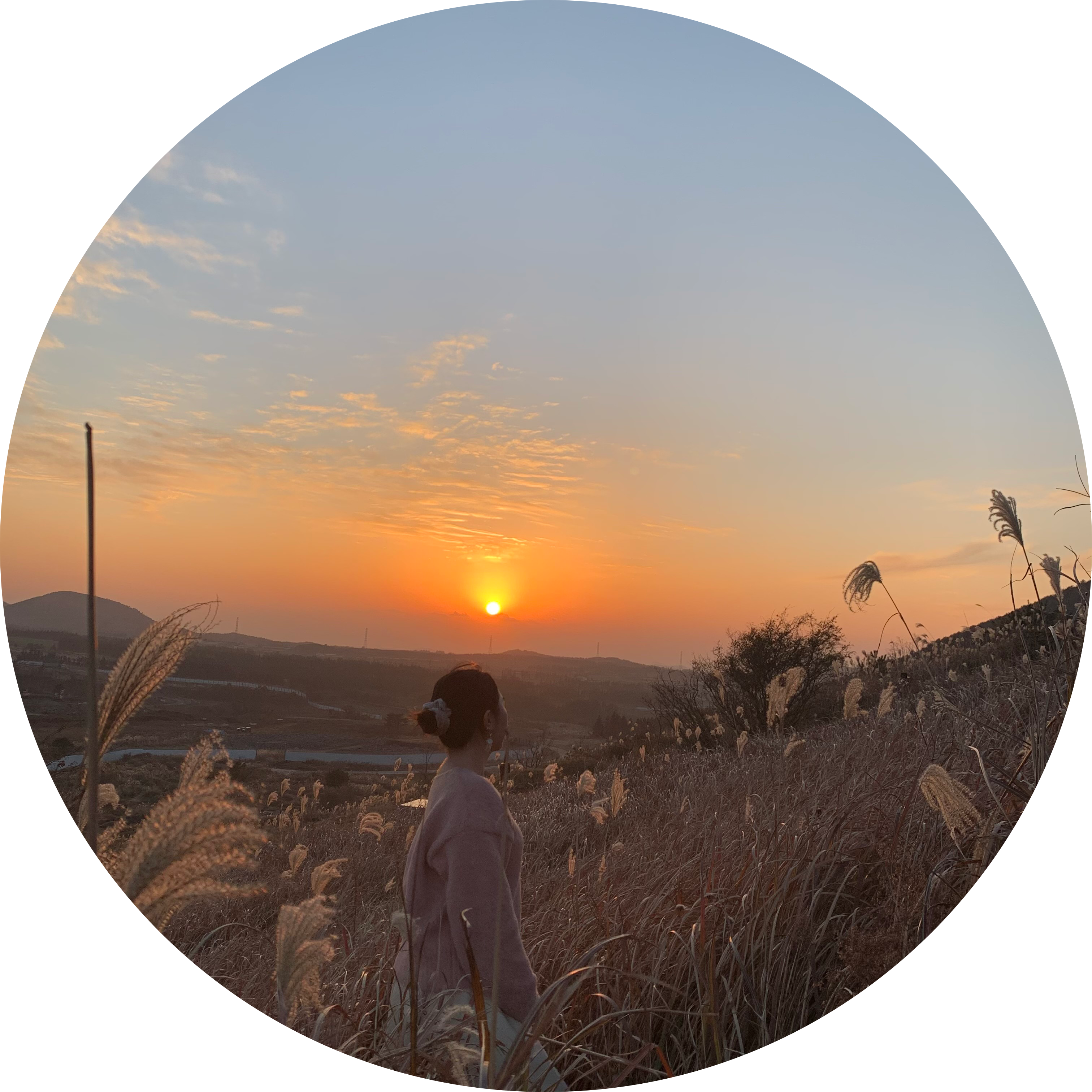 볼만두S2 프로필