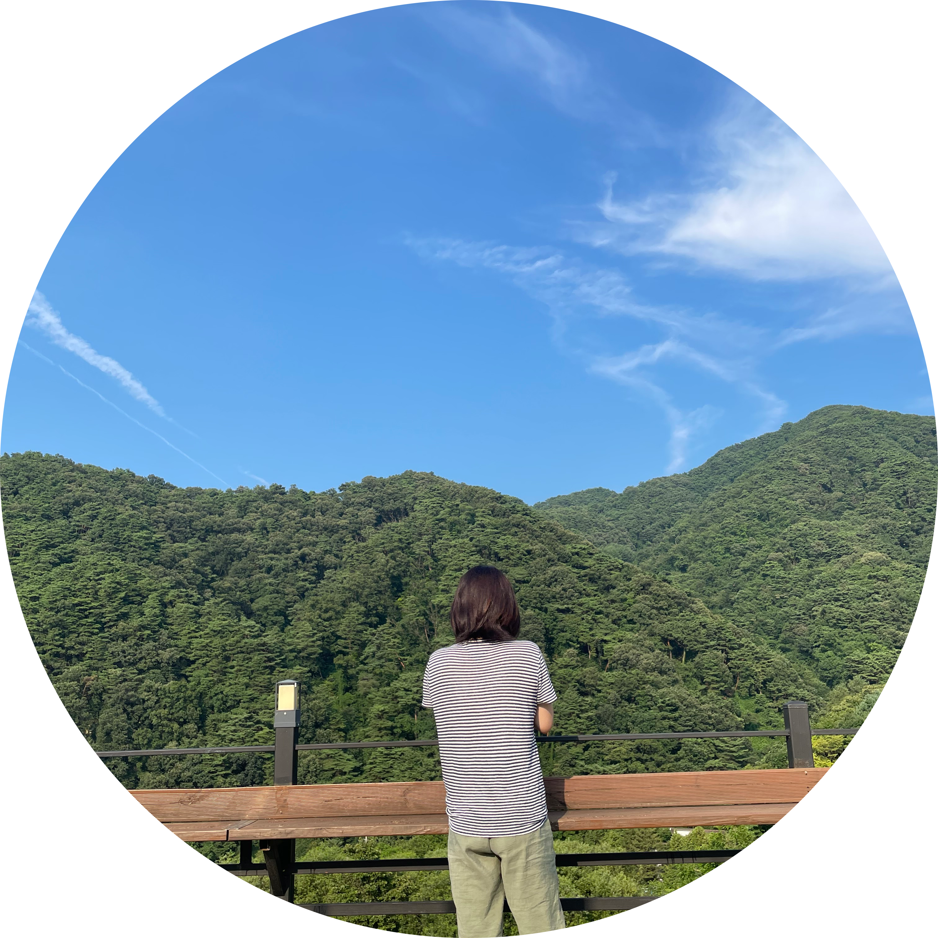 반듯한징 프로필