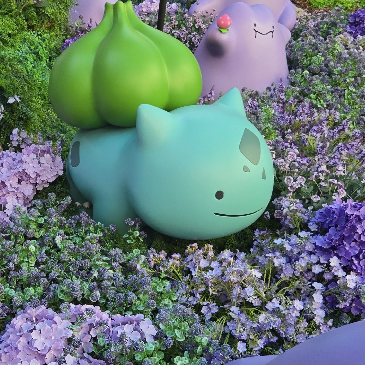 새카마타 프로필