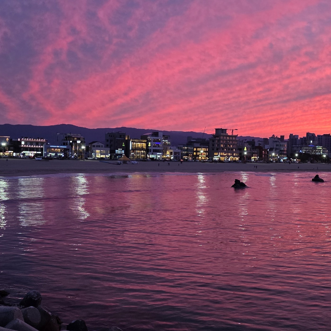 디젤 프로필
