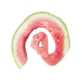서령. 프로필