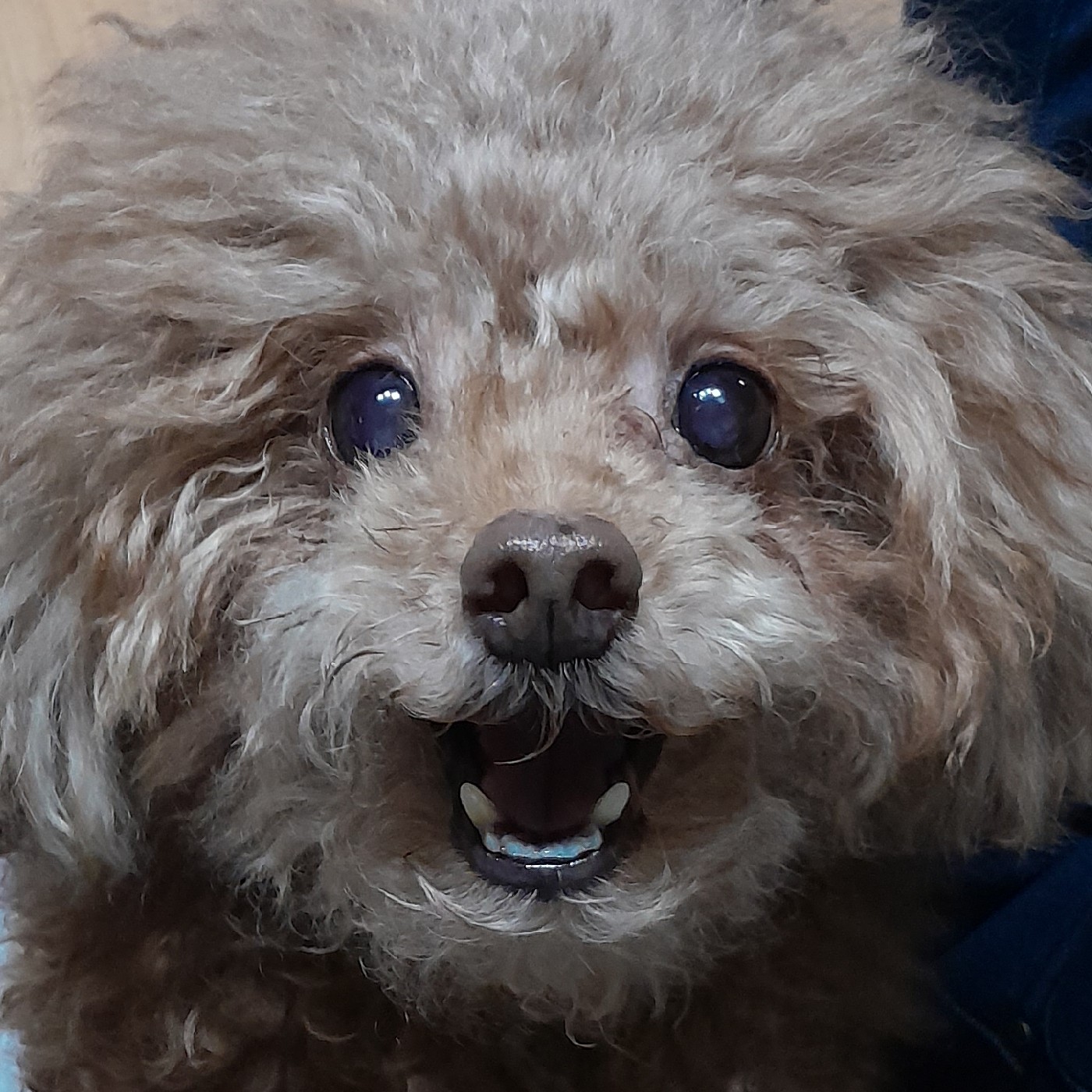 박뚠뚜 프로필