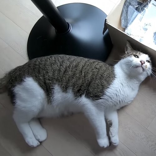 규규 프로필