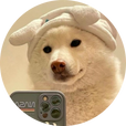 진보경