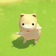 네맞아요