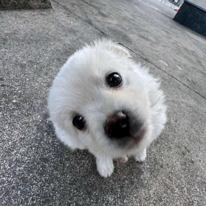 ghjjbb 프로필