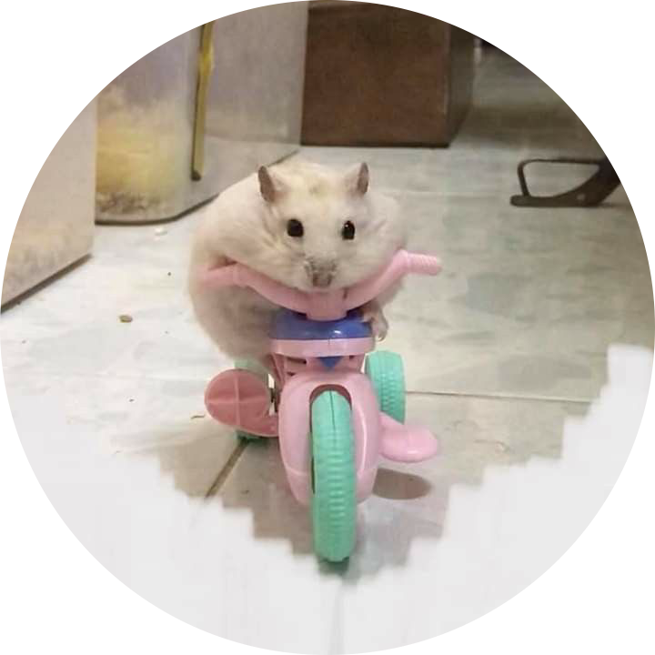 아제예요 프로필