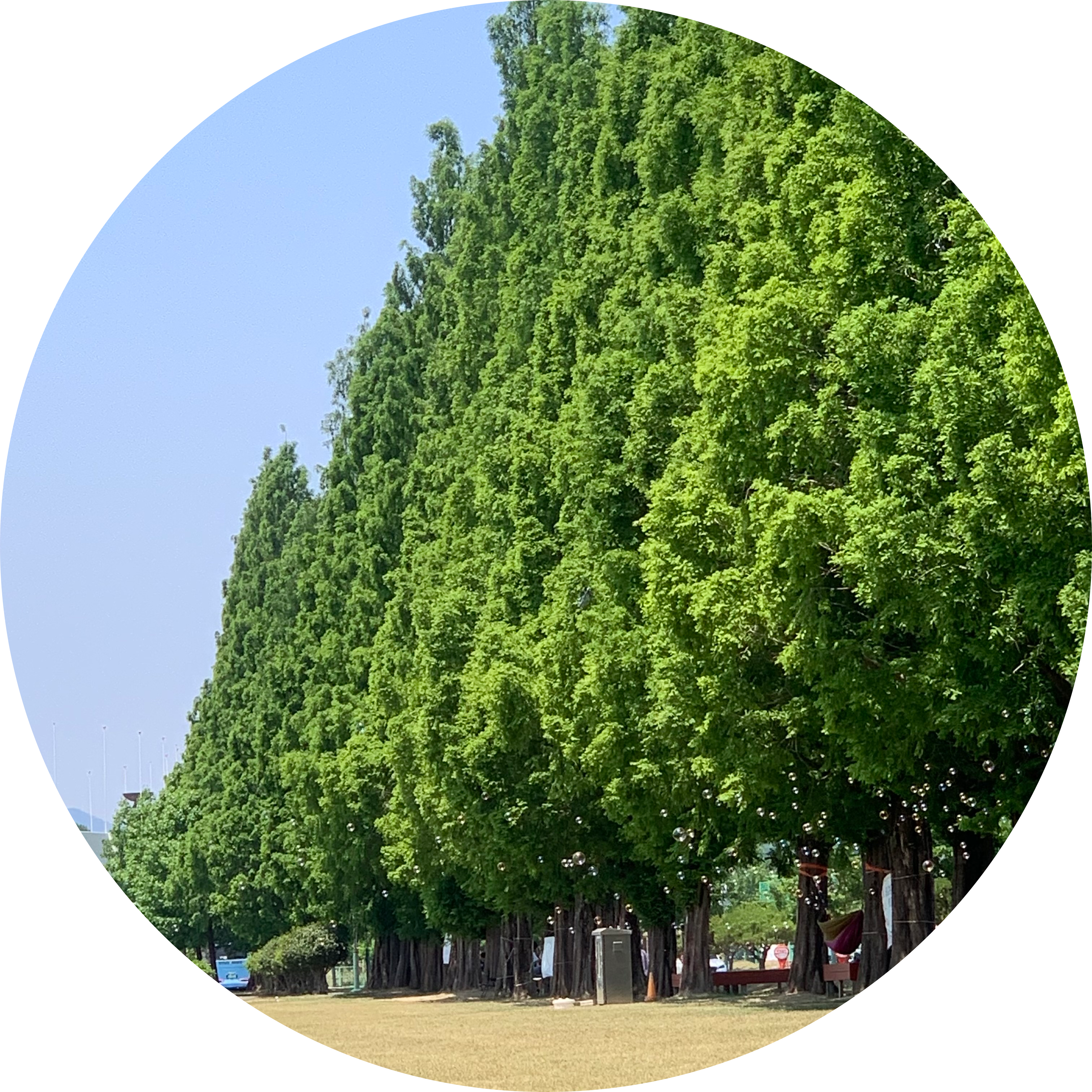 디용잉ㅇ 프로필