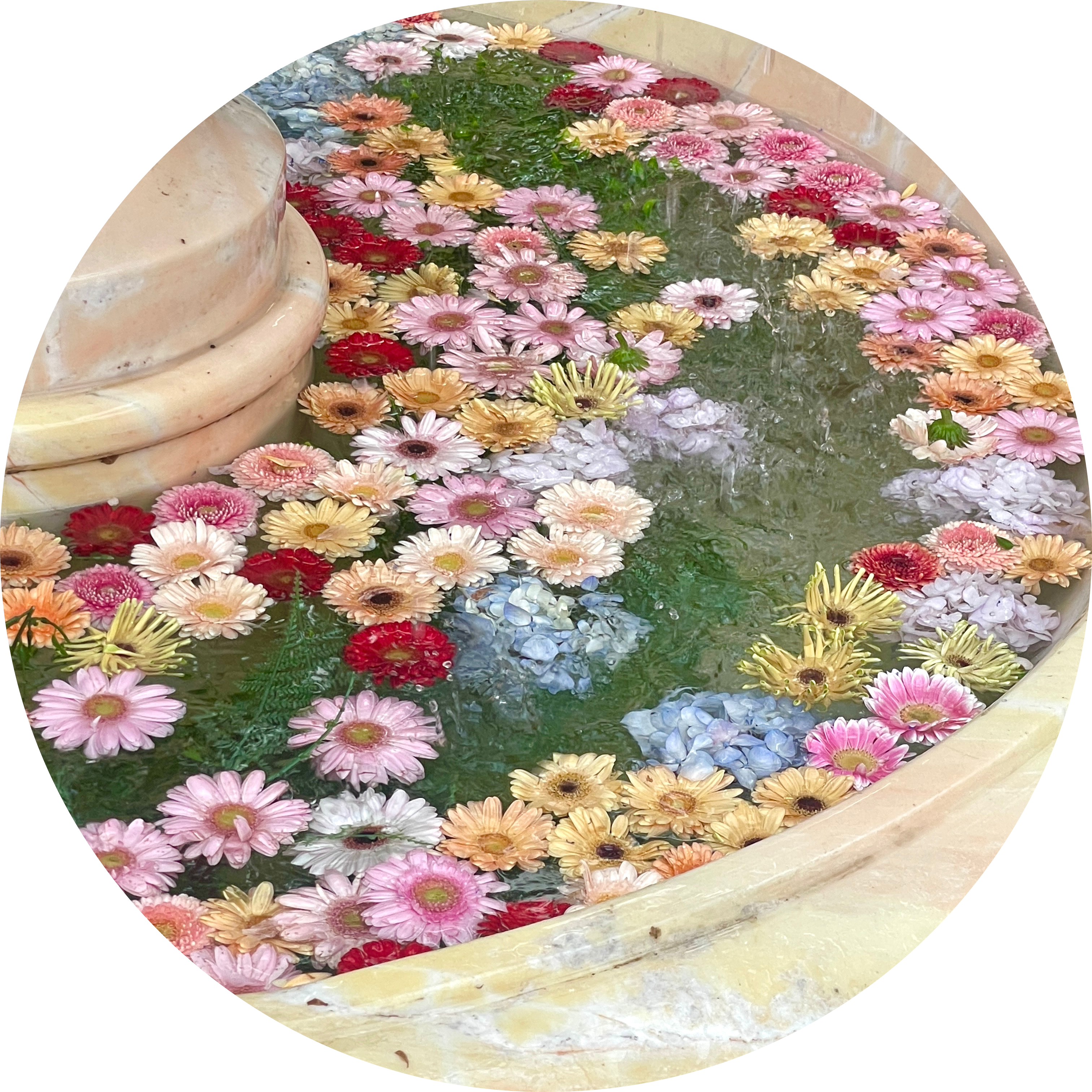 7고글2i 프로필