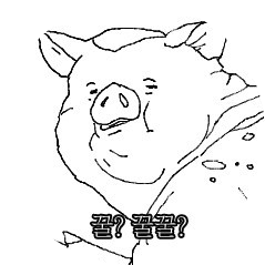 킹모공 프로필