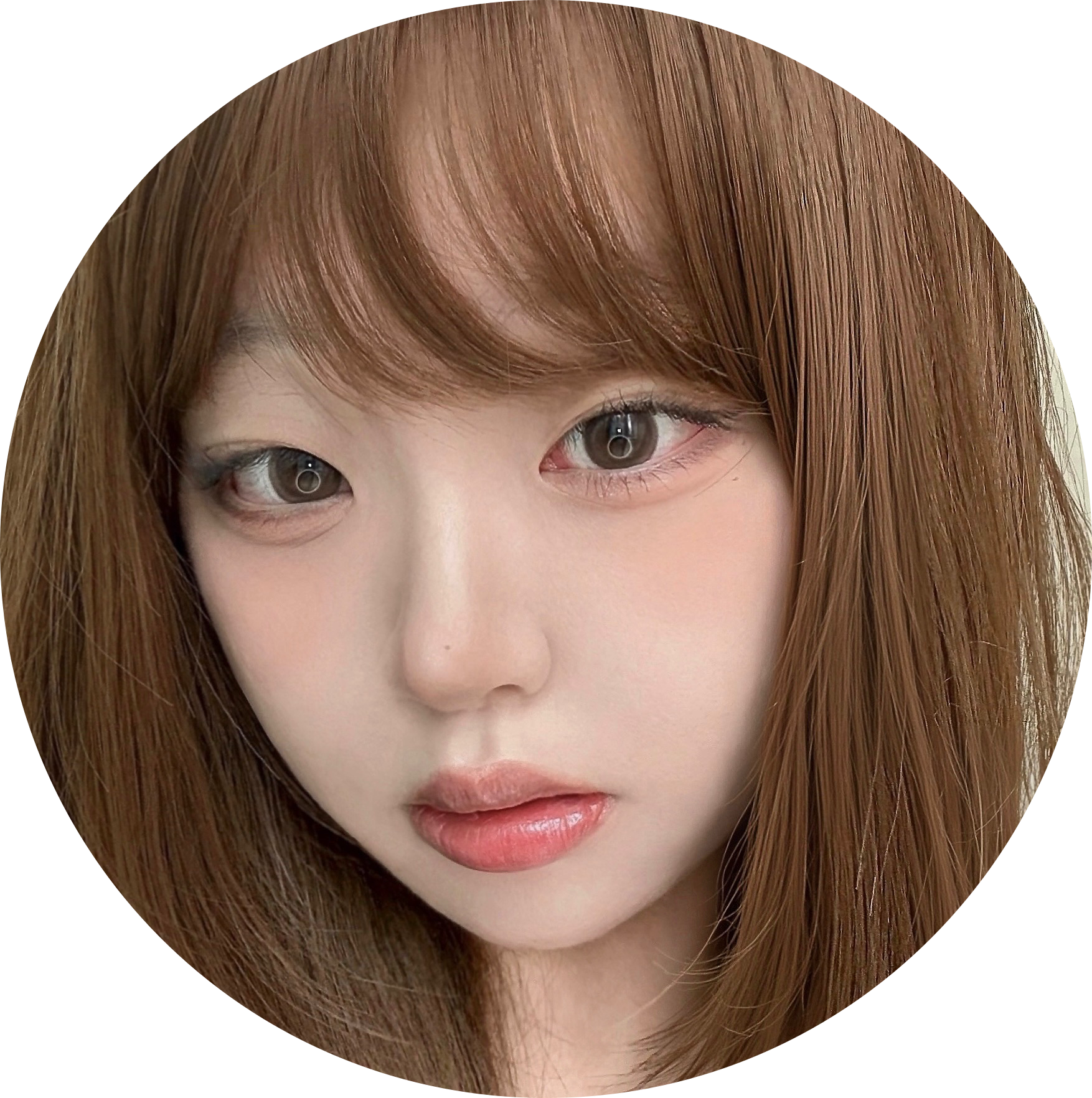 meeenero 프로필