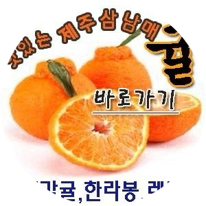 데구르륵낑깡 프로필