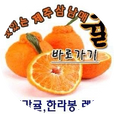 데구르륵낑깡