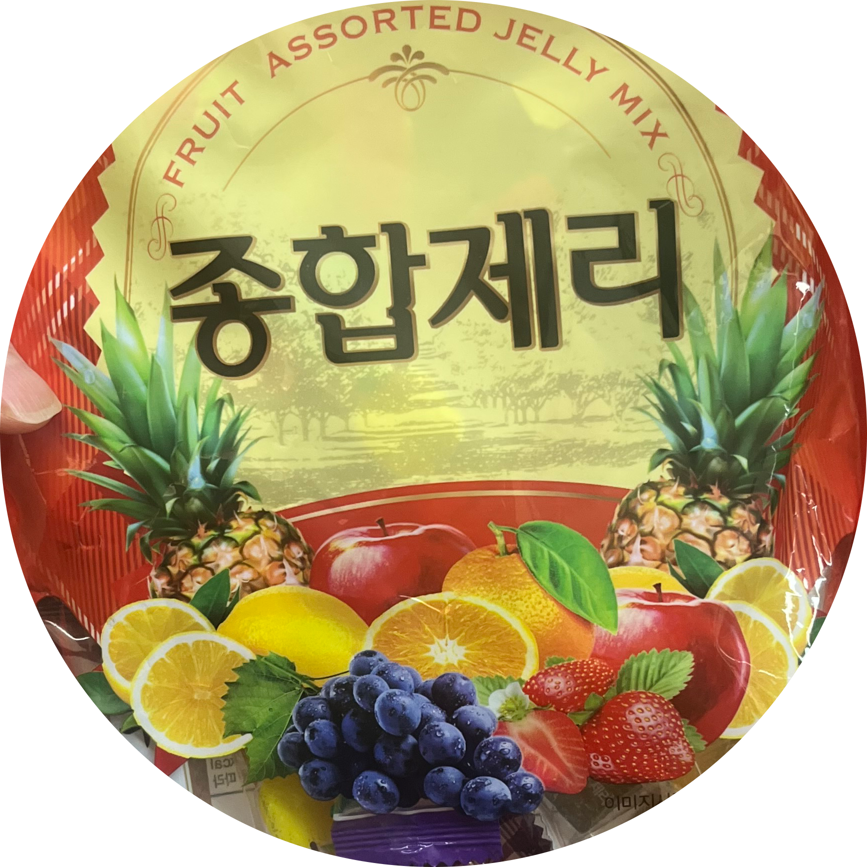 뉴닌뉸니 프로필