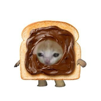 수인22 프로필