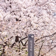 눈꽃같은공주