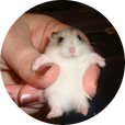 bluepsyche