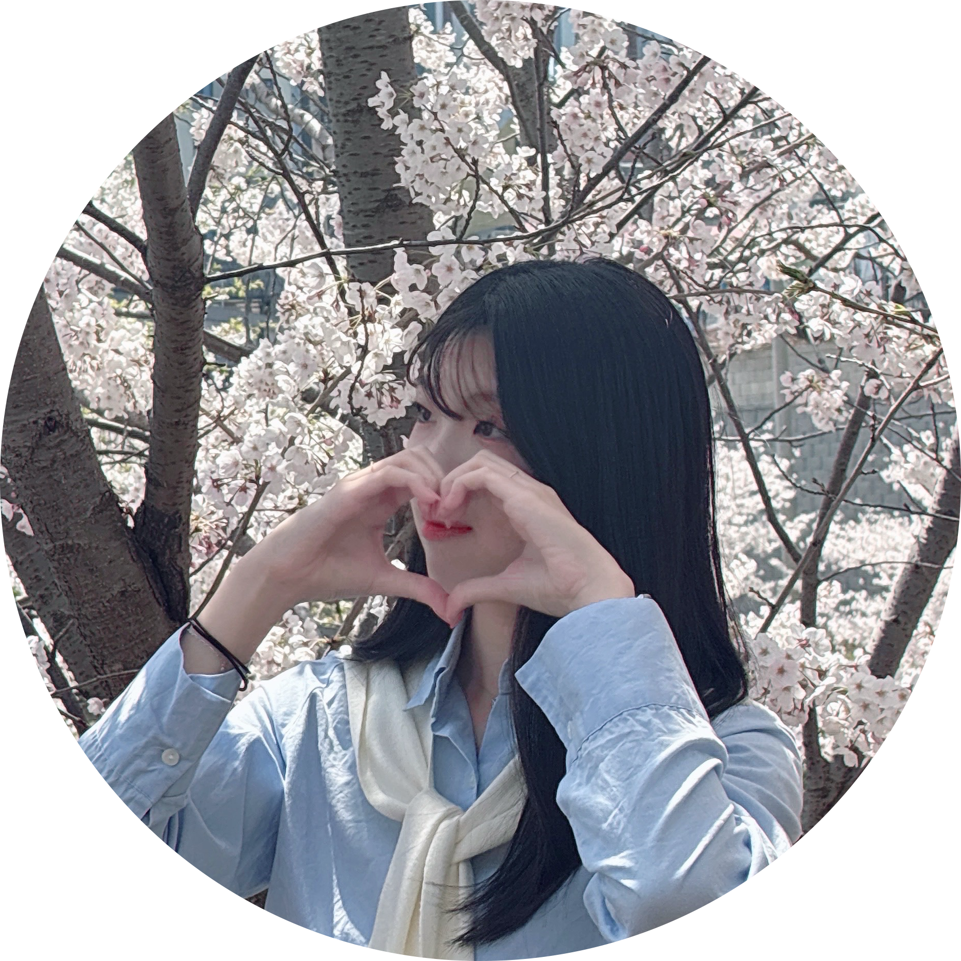 하나벼리 프로필
