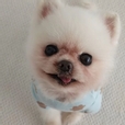 #에디터리얼후기