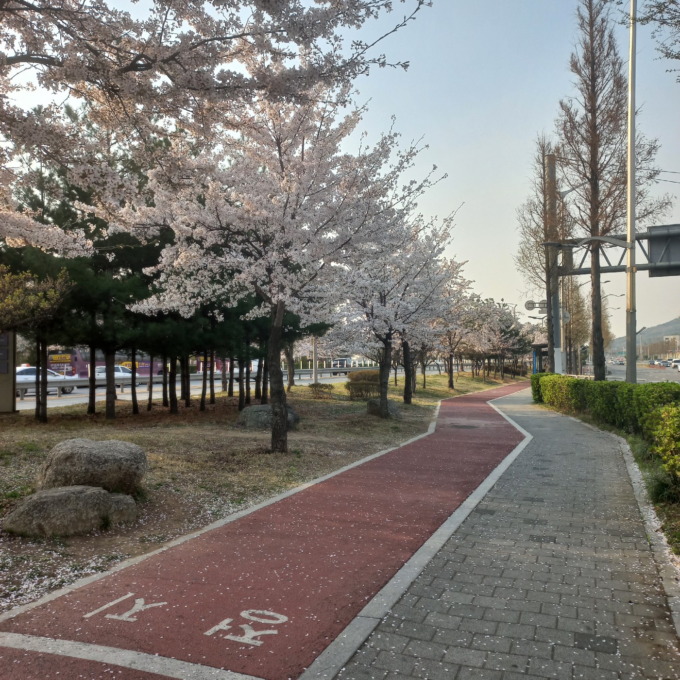 쿠쿡히 프로필