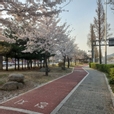 쿠쿡히