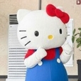 송쏘so