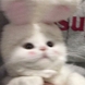 율심이
