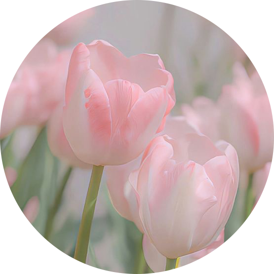 suuunnyyy 프로필
