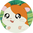 금귤@피치