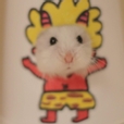 센저