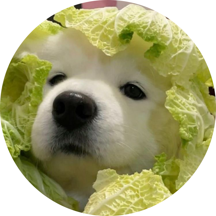 재콩콩 프로필