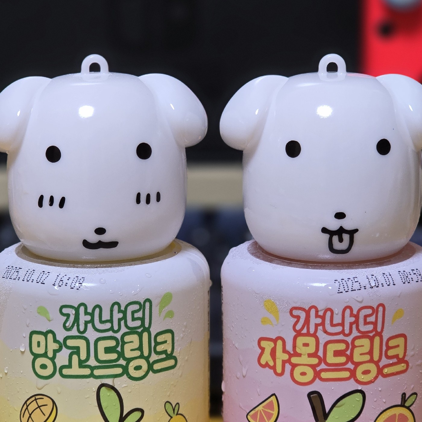 똔가나디 프로필