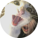 진쌩