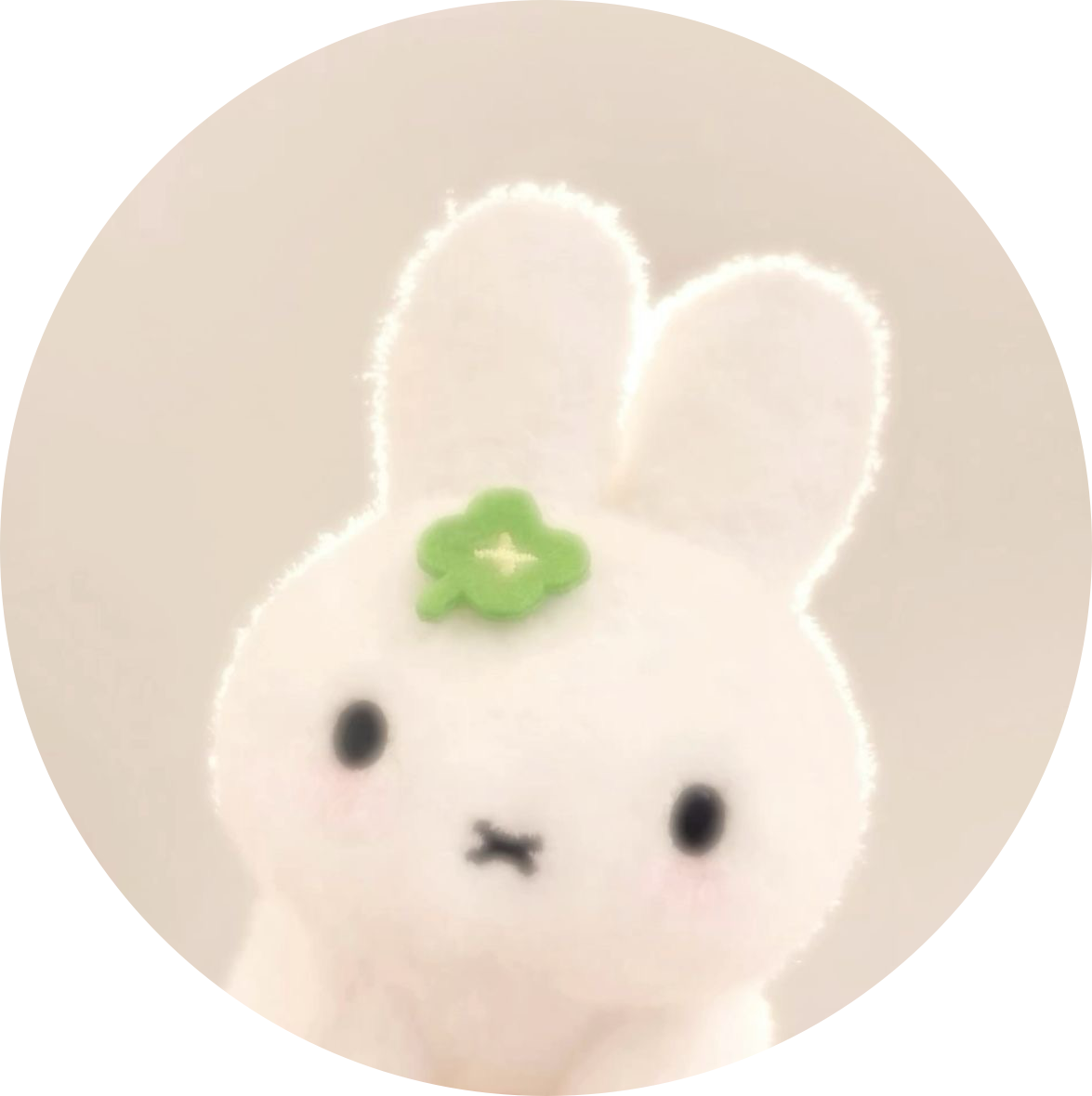 미리양 프로필