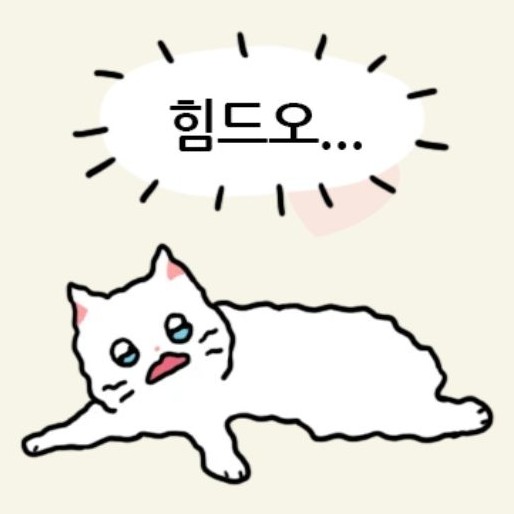 김춘배요 프로필