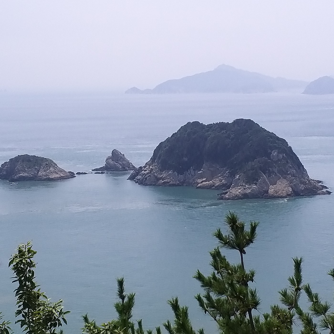 뽀롱뾰롱 프로필