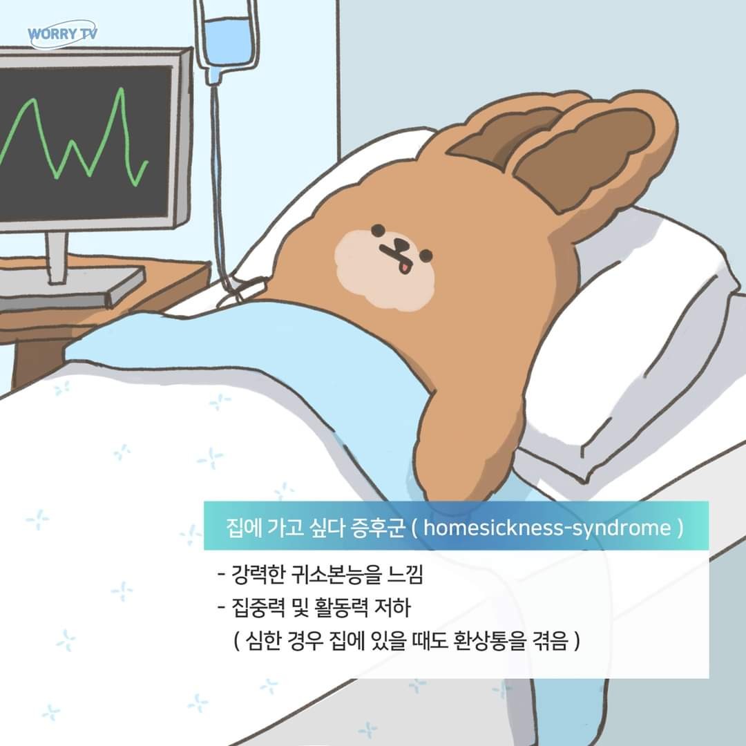 진뿡뿡 프로필