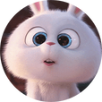 슈슈