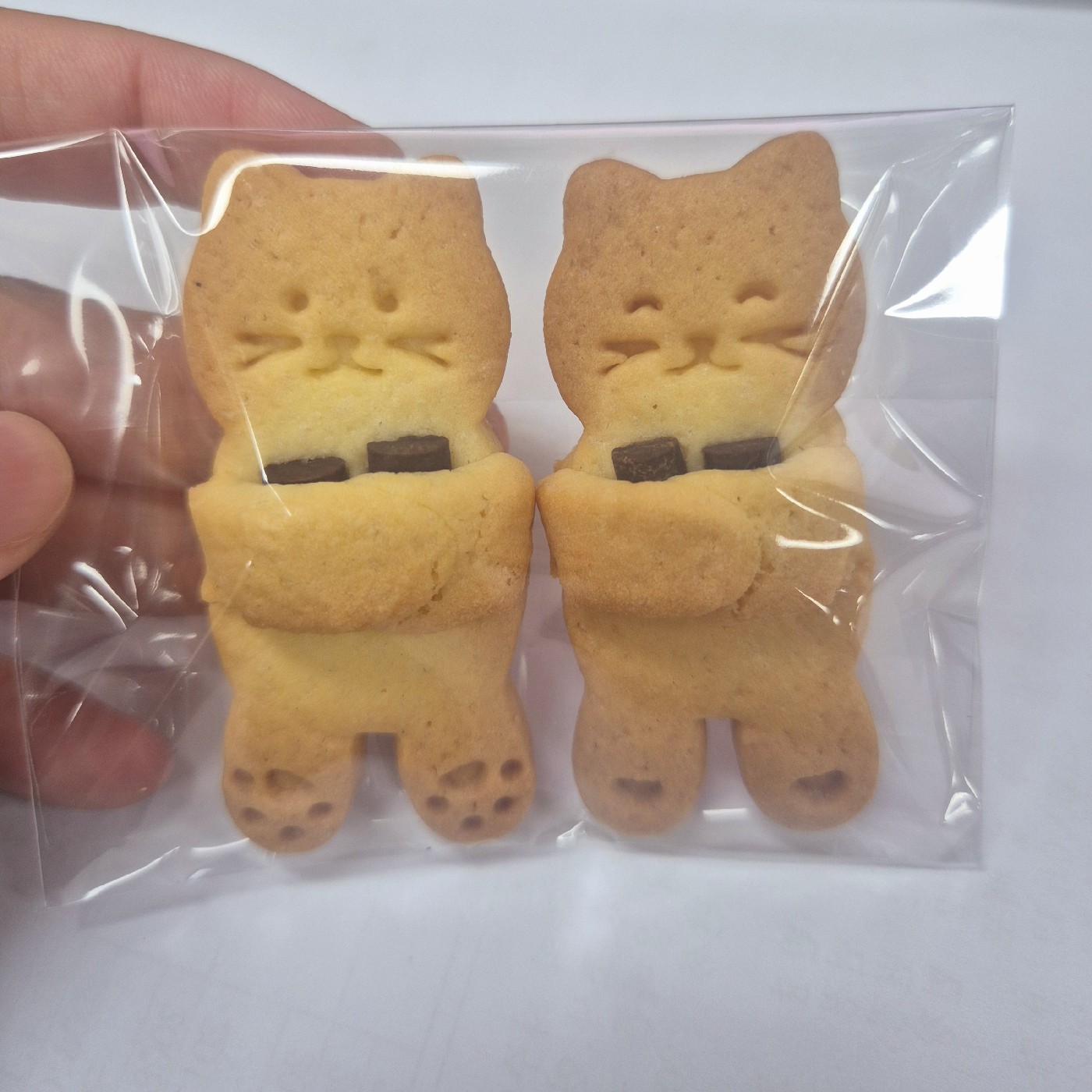 노링스 프로필