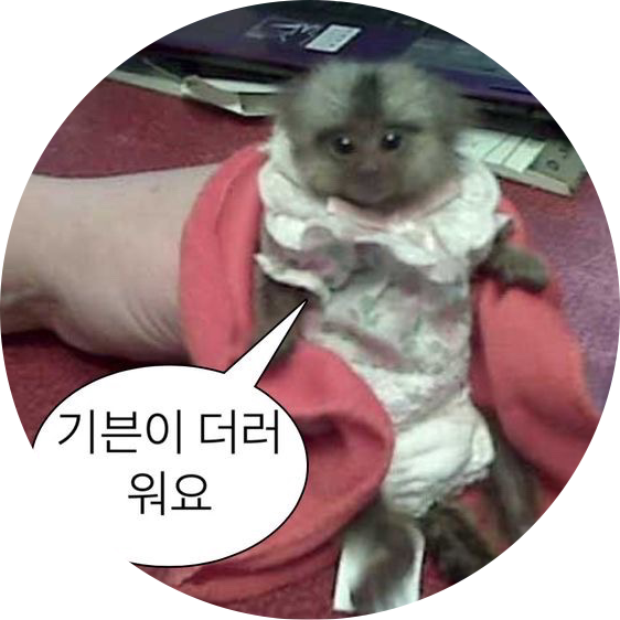 기븐이더러워요 프로필