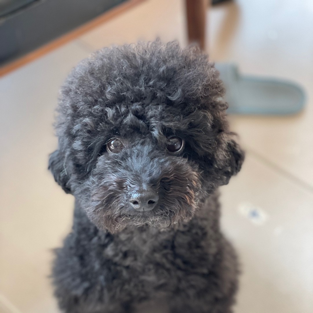 리뷰어 프로필